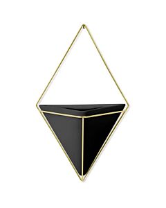 Umbra - Trigg Wall Display - Black Brass - Large